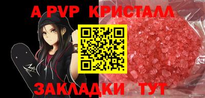 стаф Новокубанск