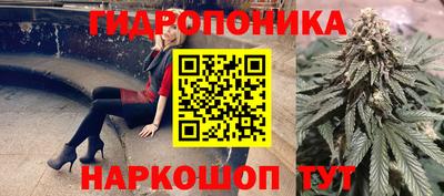 сатива Новодвинск