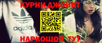 сатива Новодвинск