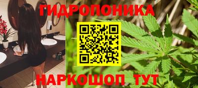 сатива Новодвинск