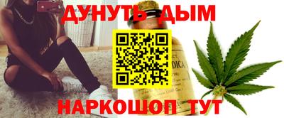 сатива Новодвинск