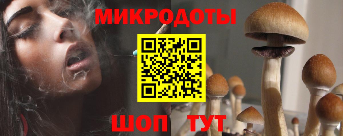 закладки  Псилоцибиновые грибы прущие грибы  Вход с VPN  Псилоцибиновые грибы ЛСД  Саяногорск 